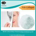 Lebensmittel oder Kosmetik Grade 90% 95% Haut Whitening Fish Collagen